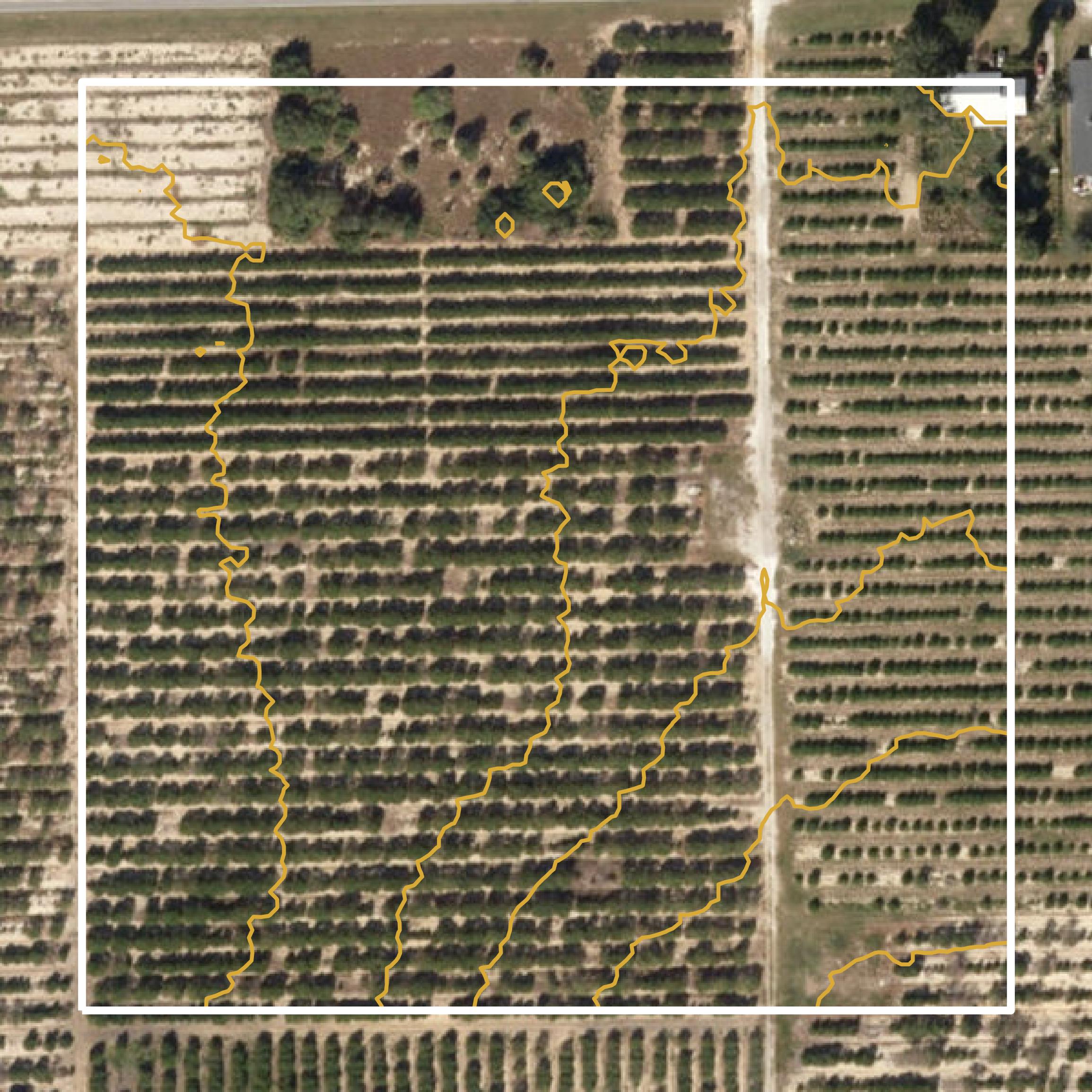 This image shows a contour map in Highlands County created using GIS data in Equator.