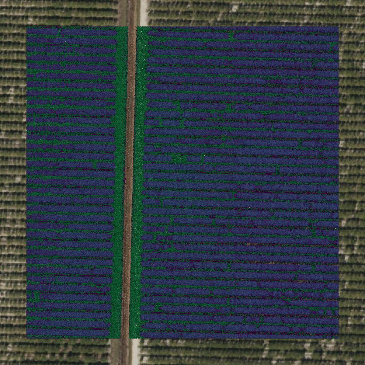 This image shows a LiDAR point cloud in Highlands County created using GIS data in Equator.