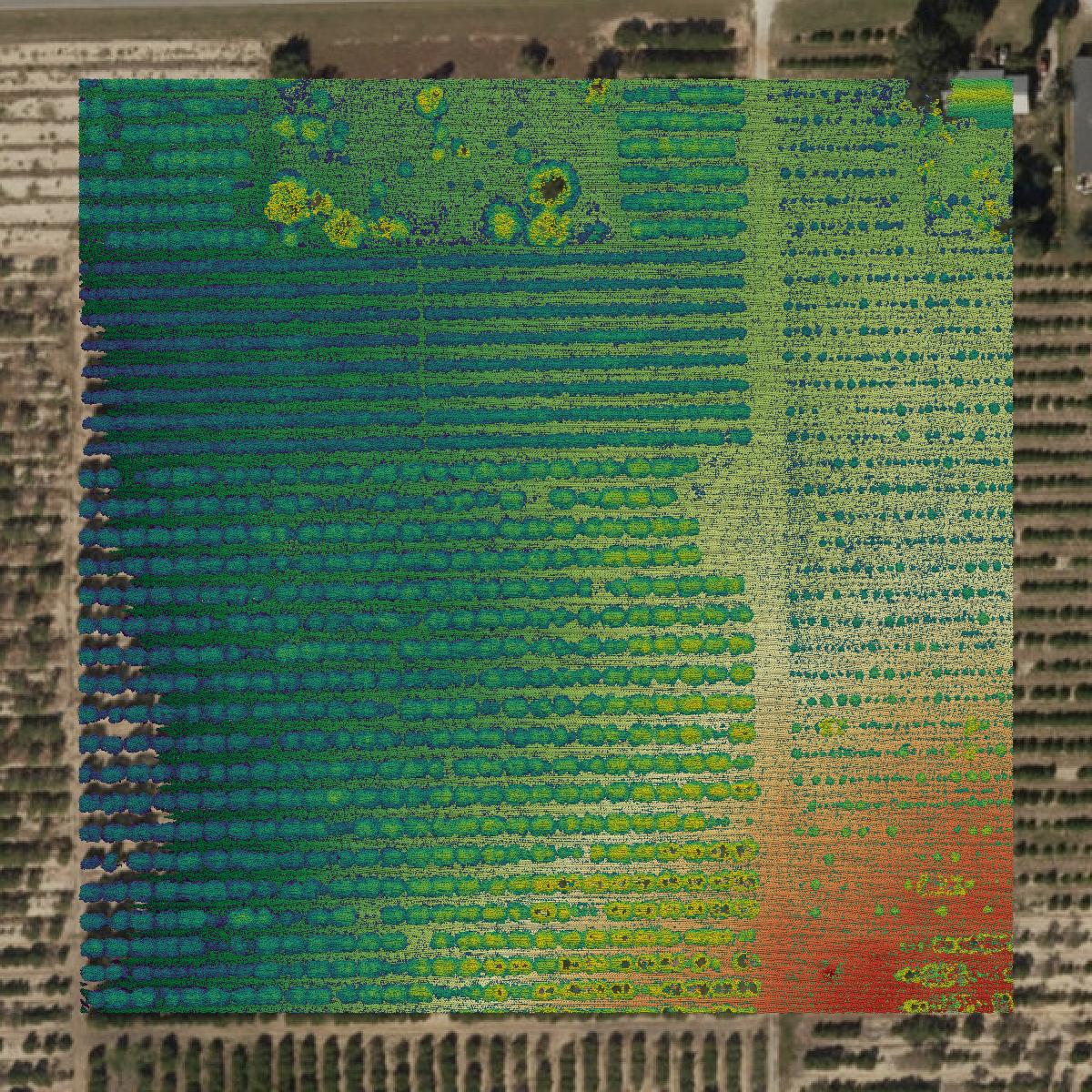 This image shows a LiDAR point cloud in Highlands County created using GIS data in Equator.
