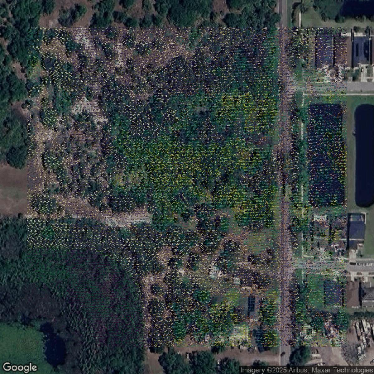 This image shows a LiDAR point cloud in Hillsborough County created using GIS data in Equator.
