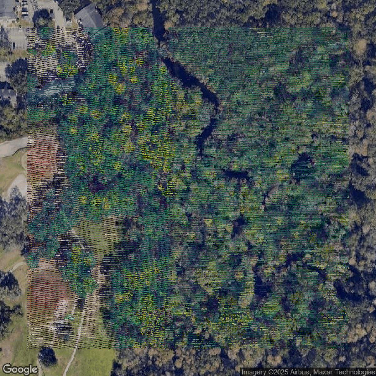 This image shows a LiDAR point cloud in Hillsborough County created using GIS data in Equator.