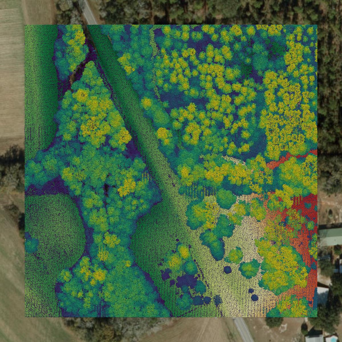 This image shows a LiDAR point cloud in Holmes County created using GIS data in Equator.