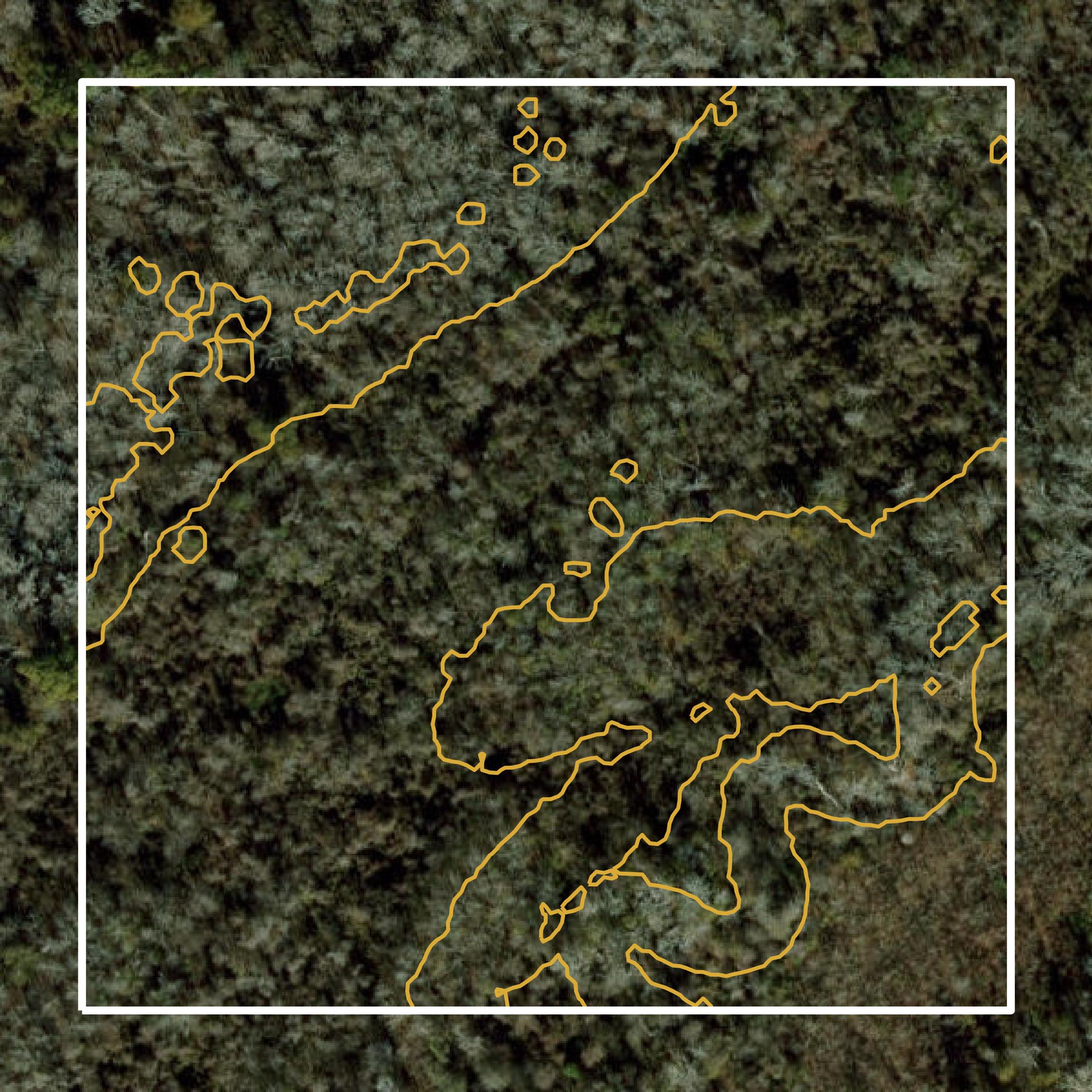 This image shows a contour map in Jackson County created using GIS data in Equator.