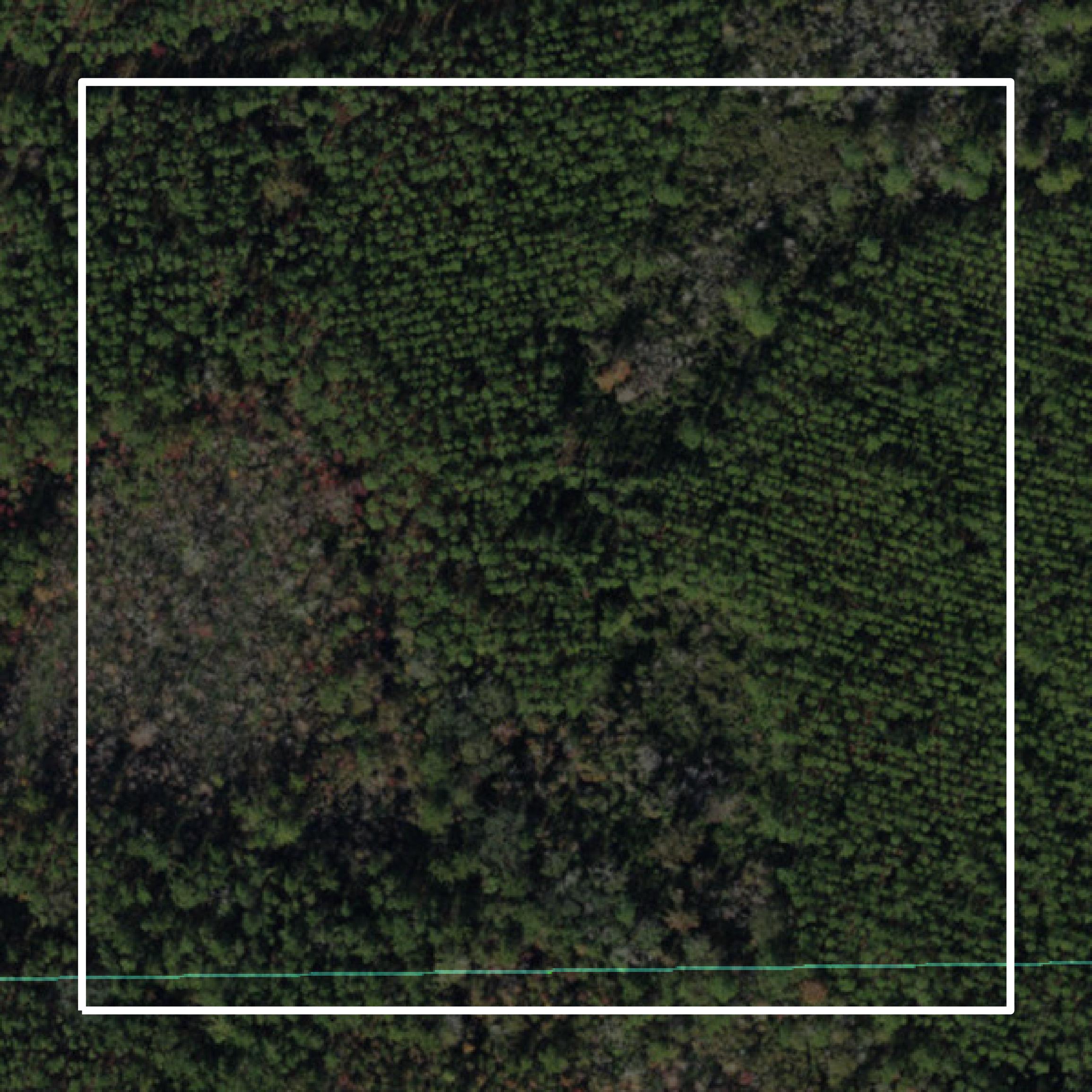 This image shows parcel and building data in Jefferson County created using GIS data in Equator.