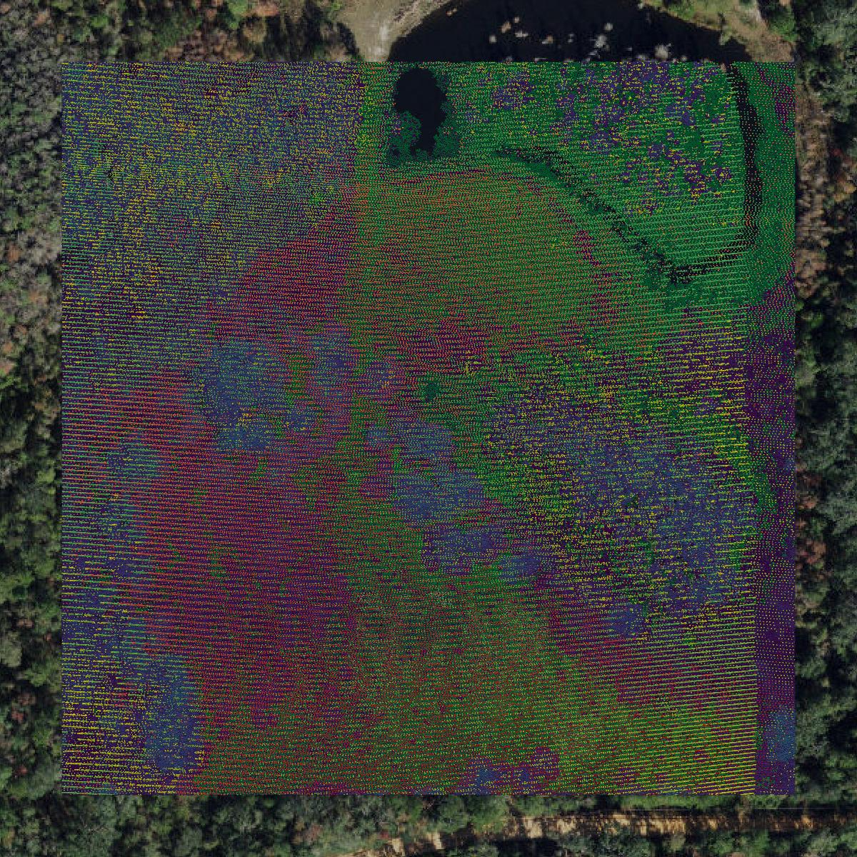 This image shows a LiDAR point cloud in Jefferson County created using GIS data in Equator.