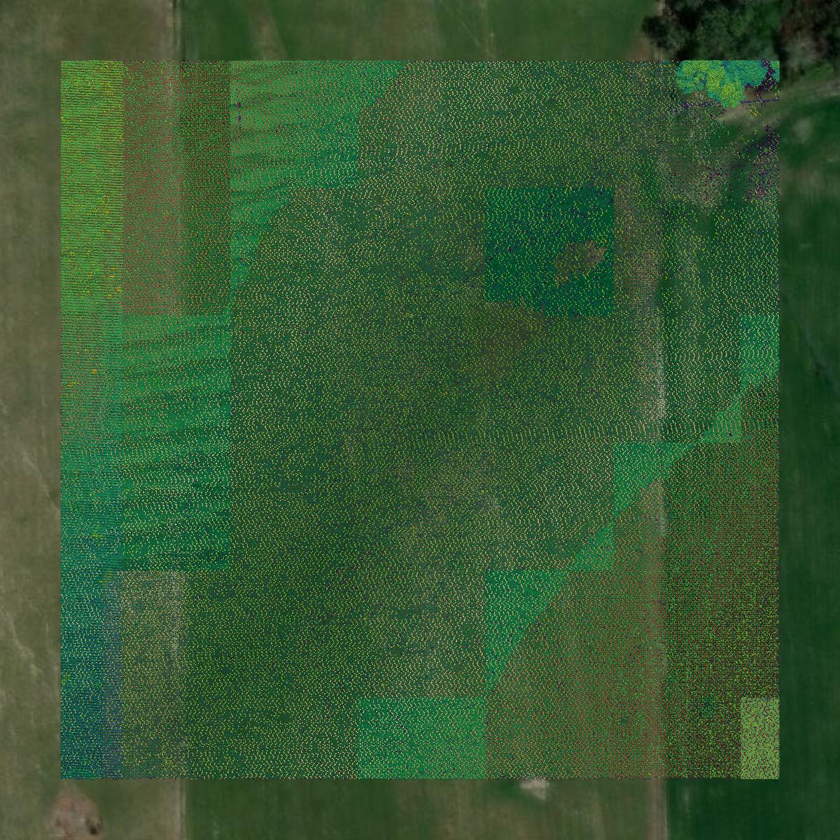 This image shows a LiDAR point cloud in Lafayette County created using GIS data in Equator.