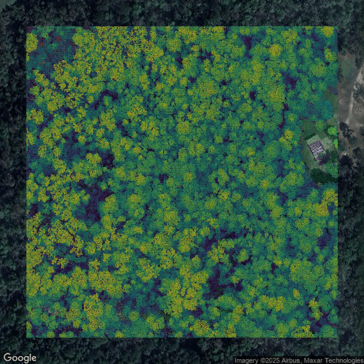 This image shows a LiDAR point cloud in Lake County created using GIS data in Equator.
