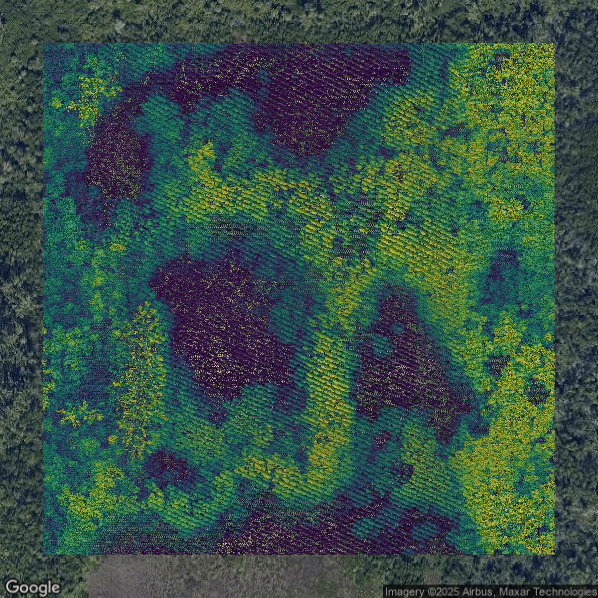 This image shows a LiDAR point cloud in Lee County created using GIS data in Equator.