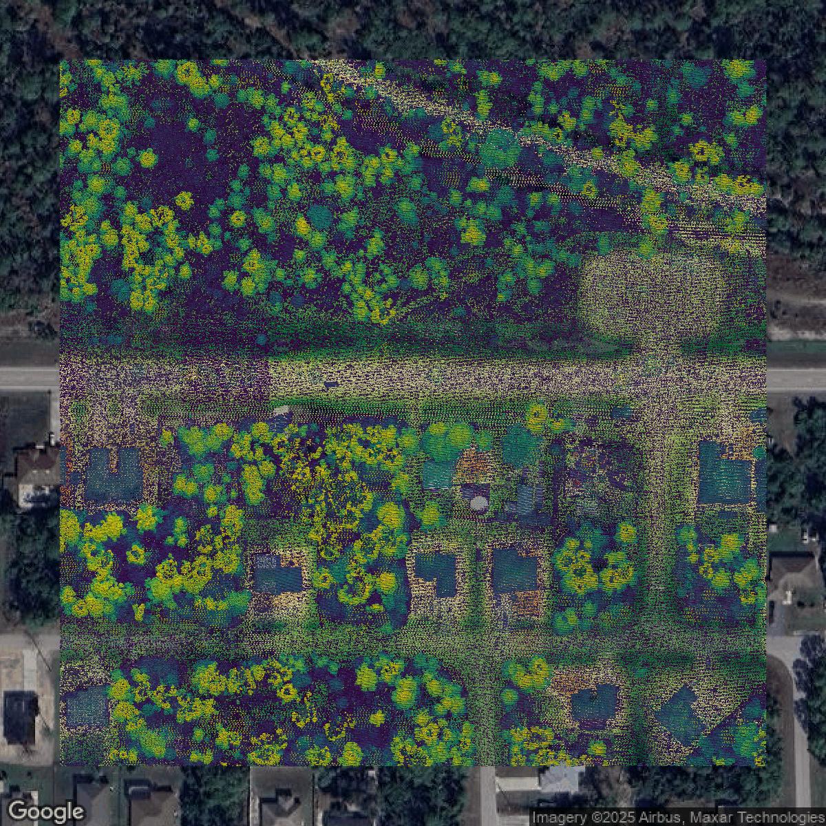This image shows a LiDAR point cloud in Lee County created using GIS data in Equator.