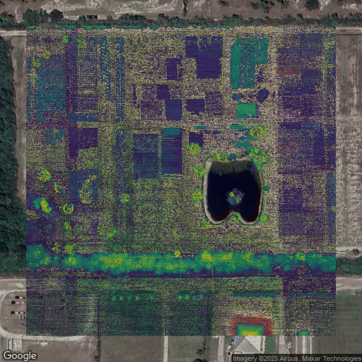 This image shows a LiDAR point cloud in Lee County created using GIS data in Equator.