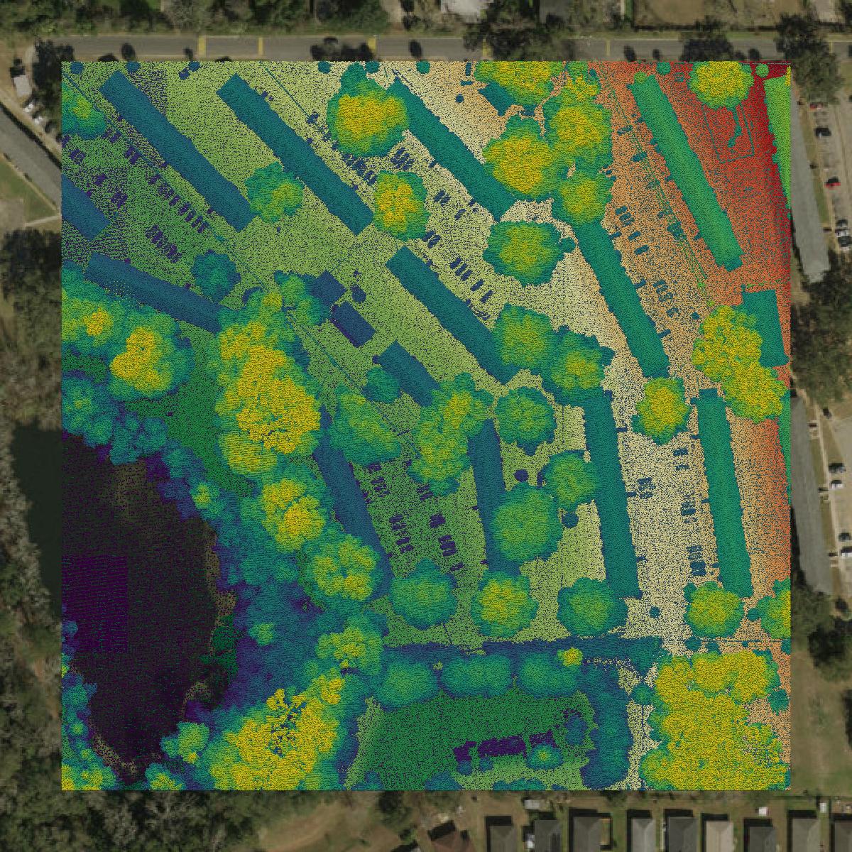This image shows a LiDAR point cloud in Leon County created using GIS data in Equator.