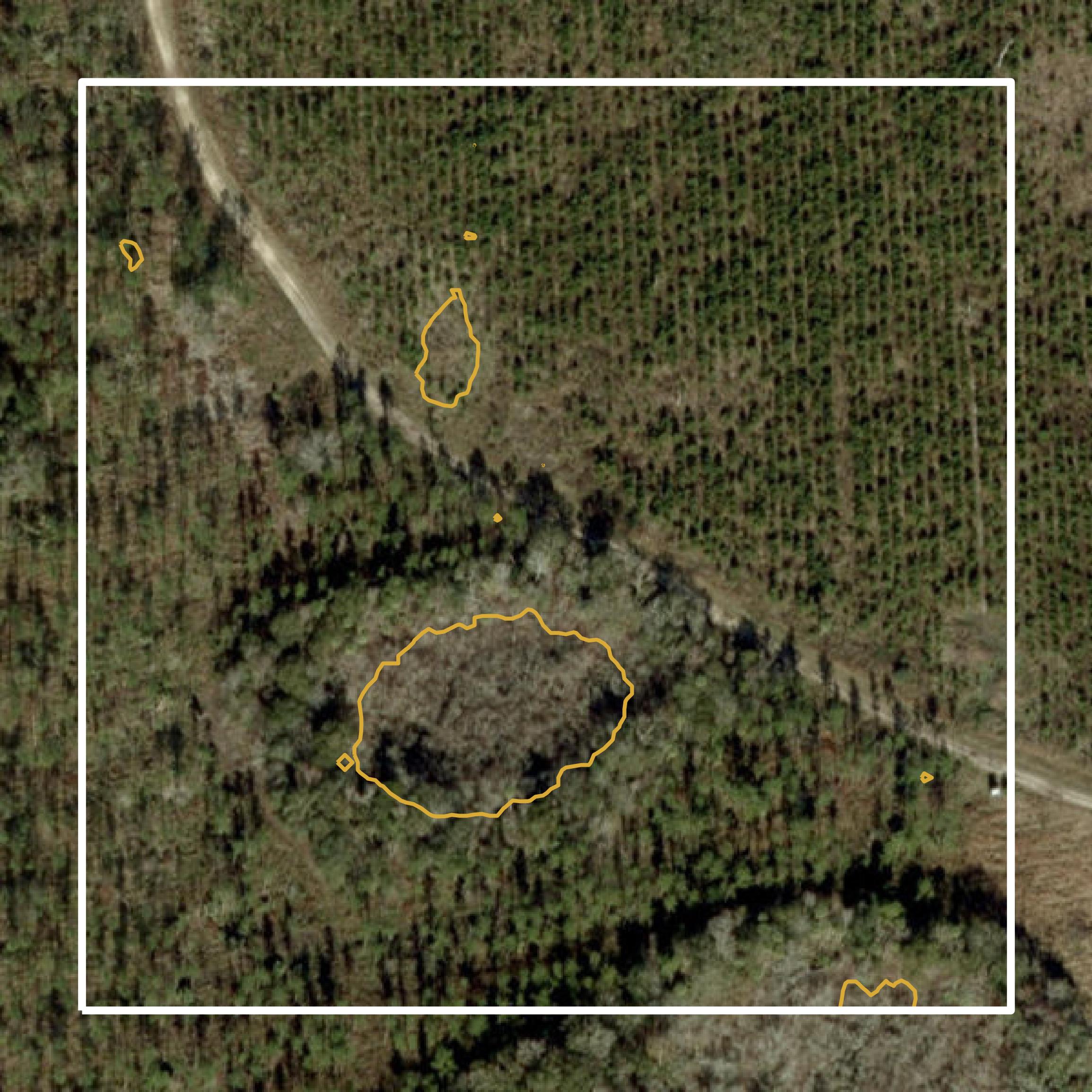 This image shows a contour map in Levy County created using GIS data in Equator.