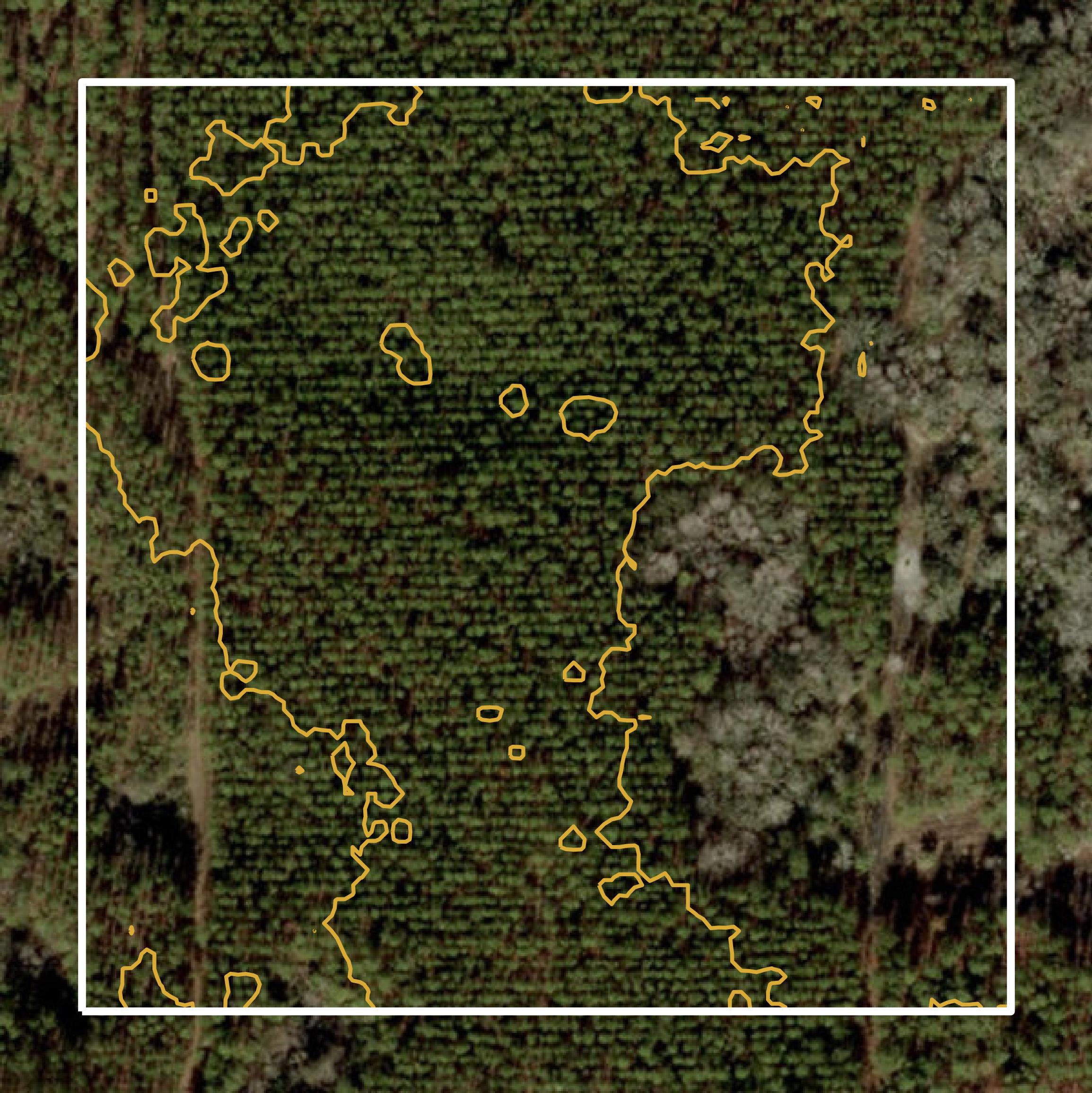This image shows a contour map in Levy County created using GIS data in Equator.