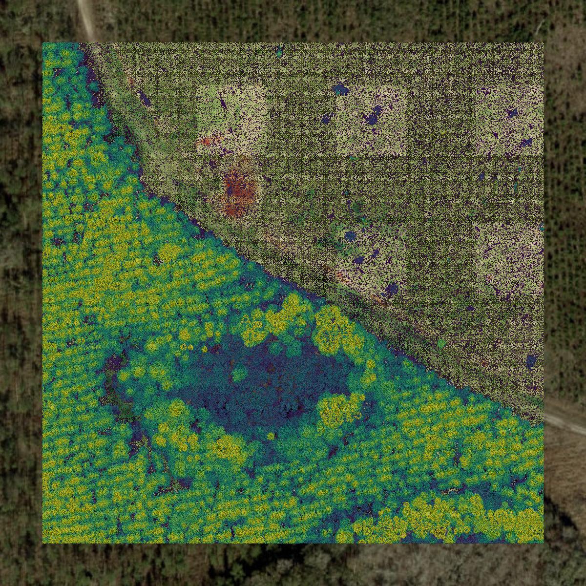 This image shows a LiDAR point cloud in Levy County created using GIS data in Equator.