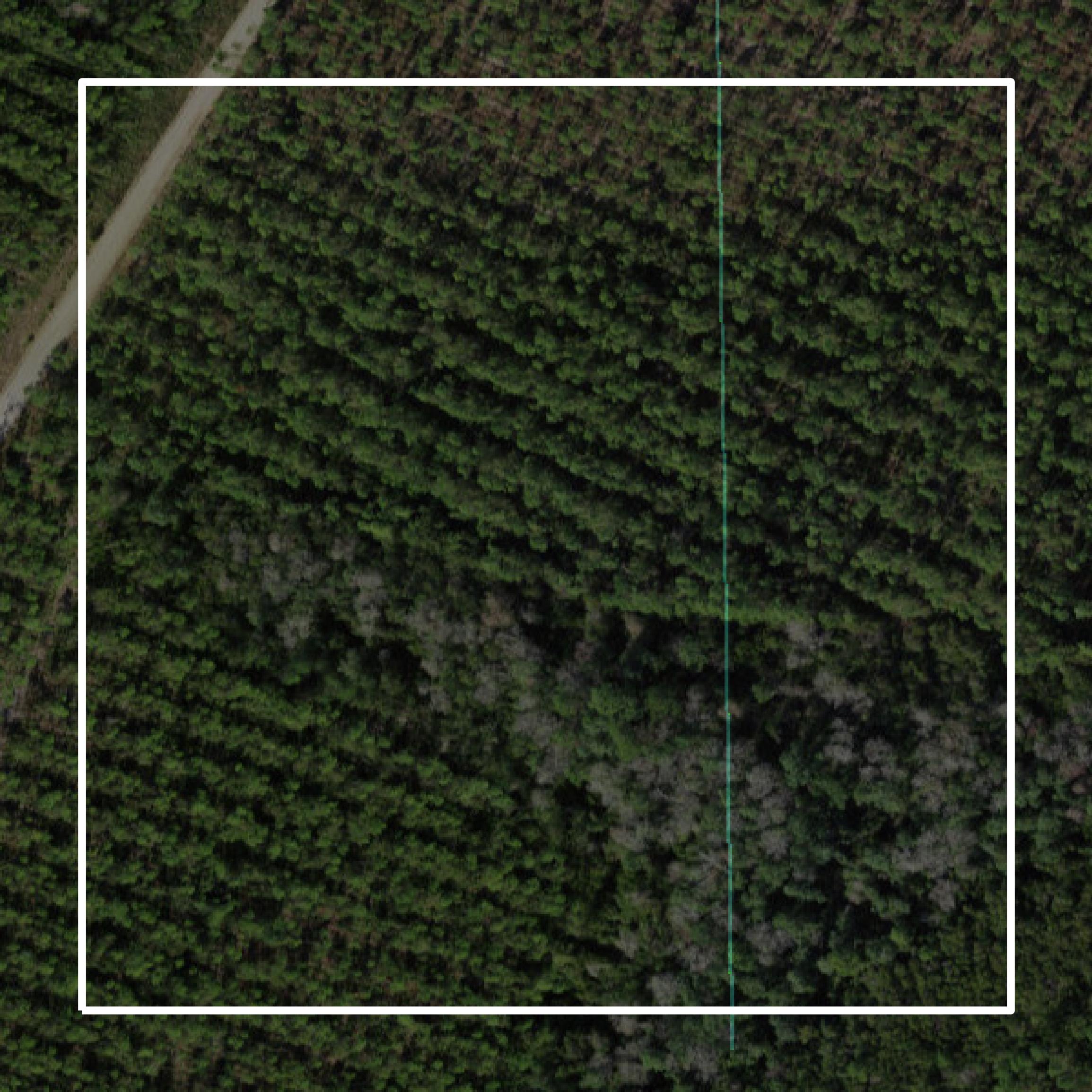 This image shows parcel and building data in Liberty County created using GIS data in Equator.