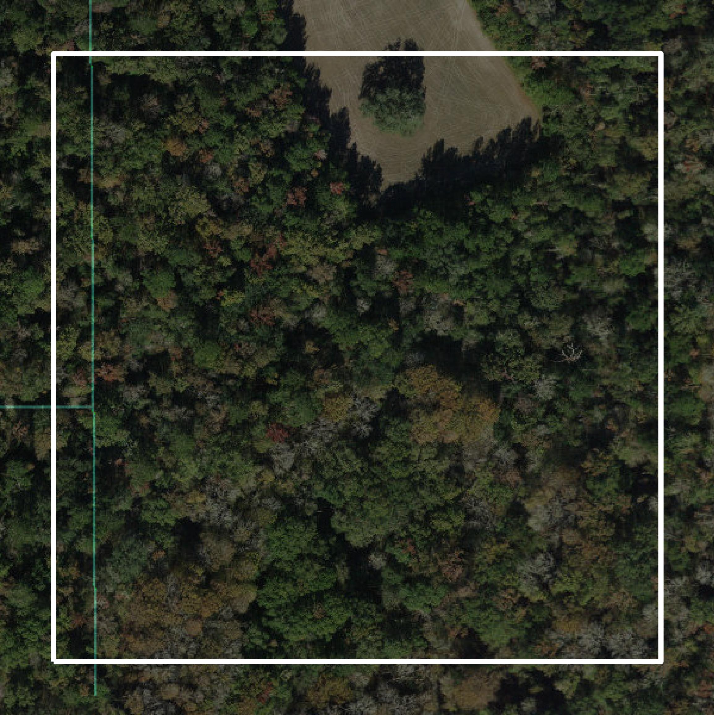 This image shows parcel and building data in Liberty County created using GIS data in Equator.