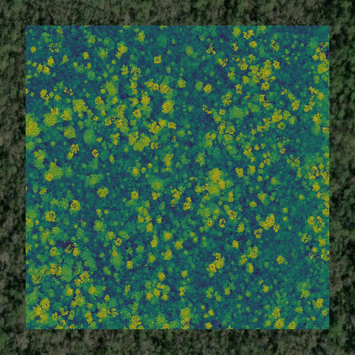 This image shows a LiDAR point cloud in Liberty County created using GIS data in Equator.