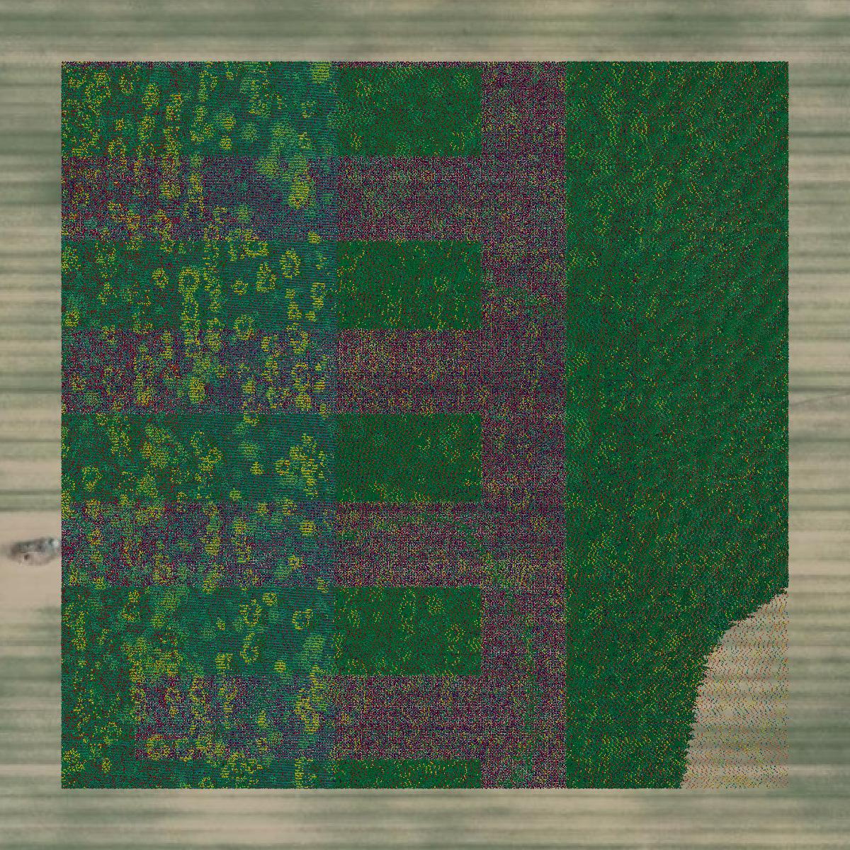 This image shows a LiDAR point cloud in Madison County created using GIS data in Equator.