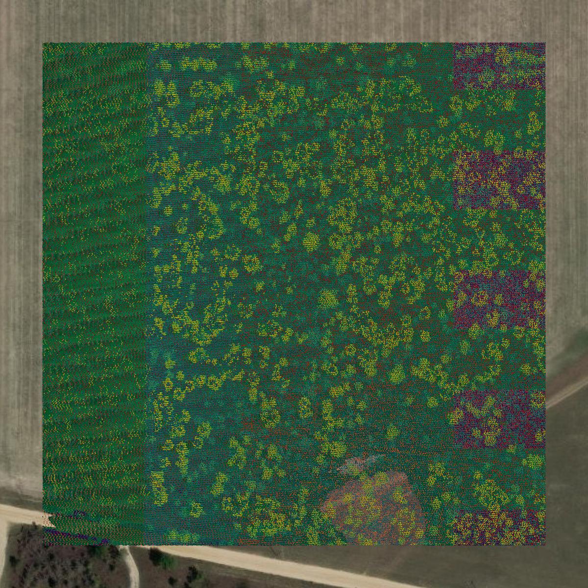 This image shows a LiDAR point cloud in Madison County created using GIS data in Equator.