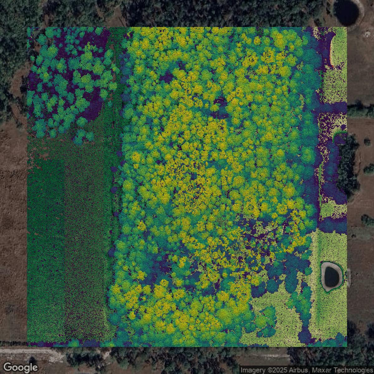 This image shows a LiDAR point cloud in Manatee County created using GIS data in Equator.