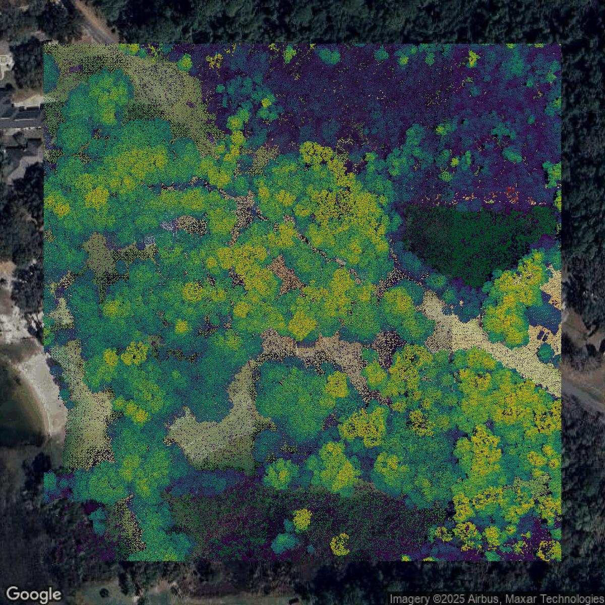 This image shows a LiDAR point cloud in Marion County created using GIS data in Equator.