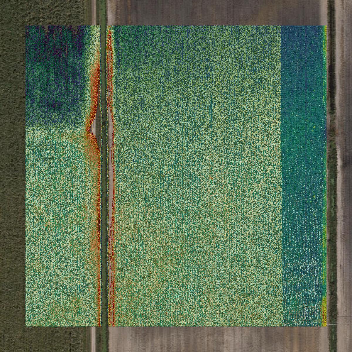 This image shows a LiDAR point cloud in Martin County created using GIS data in Equator.