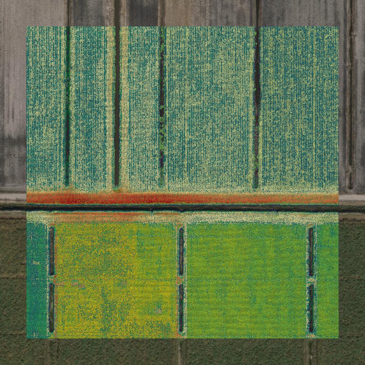 This image shows a LiDAR point cloud in Martin County created using GIS data in Equator.