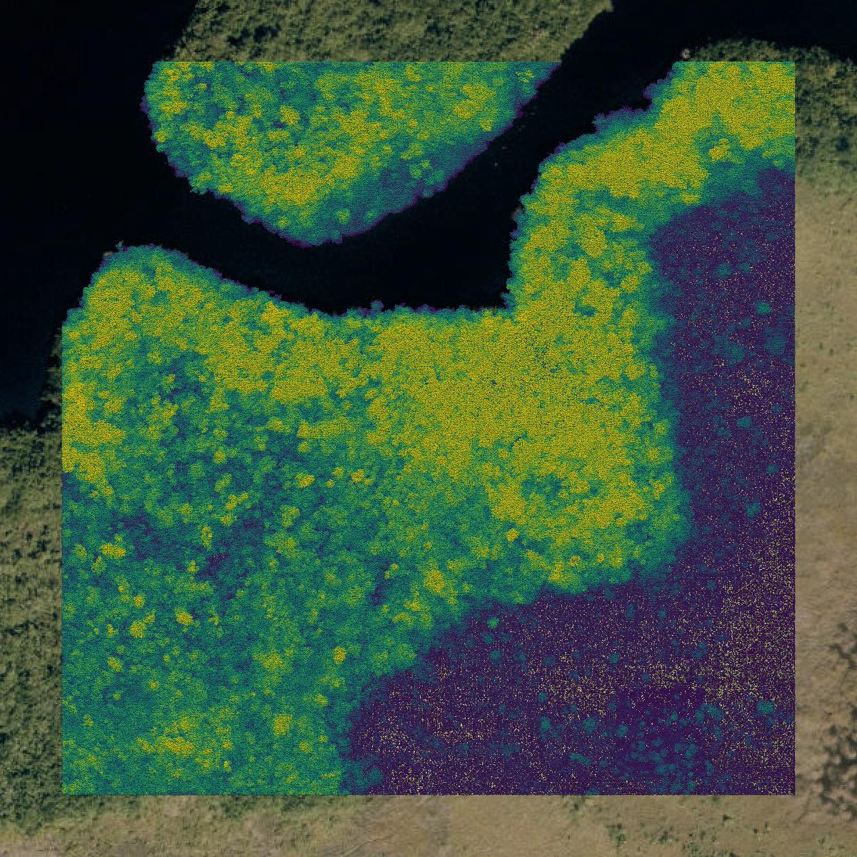 This image shows a LiDAR point cloud in Monroe County created using GIS data in Equator.