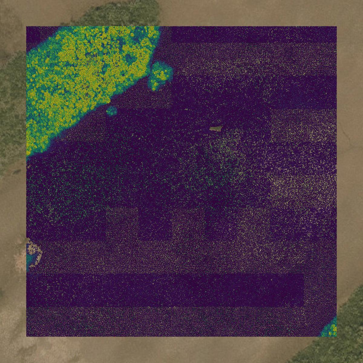 This image shows a LiDAR point cloud in Monroe County created using GIS data in Equator.
