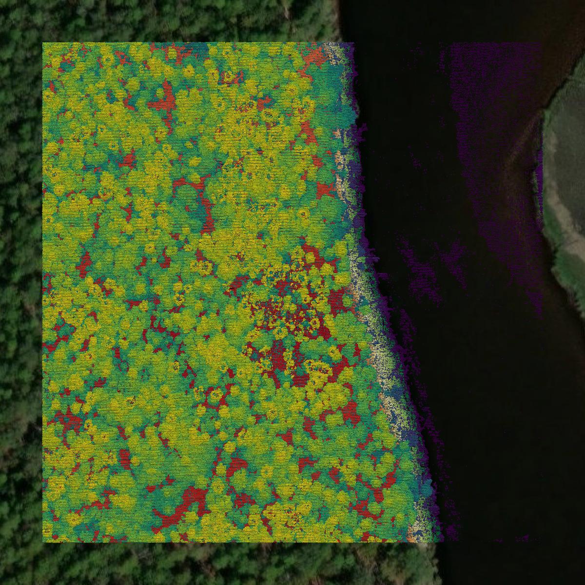 This image shows a LiDAR point cloud in Nassau County created using GIS data in Equator.