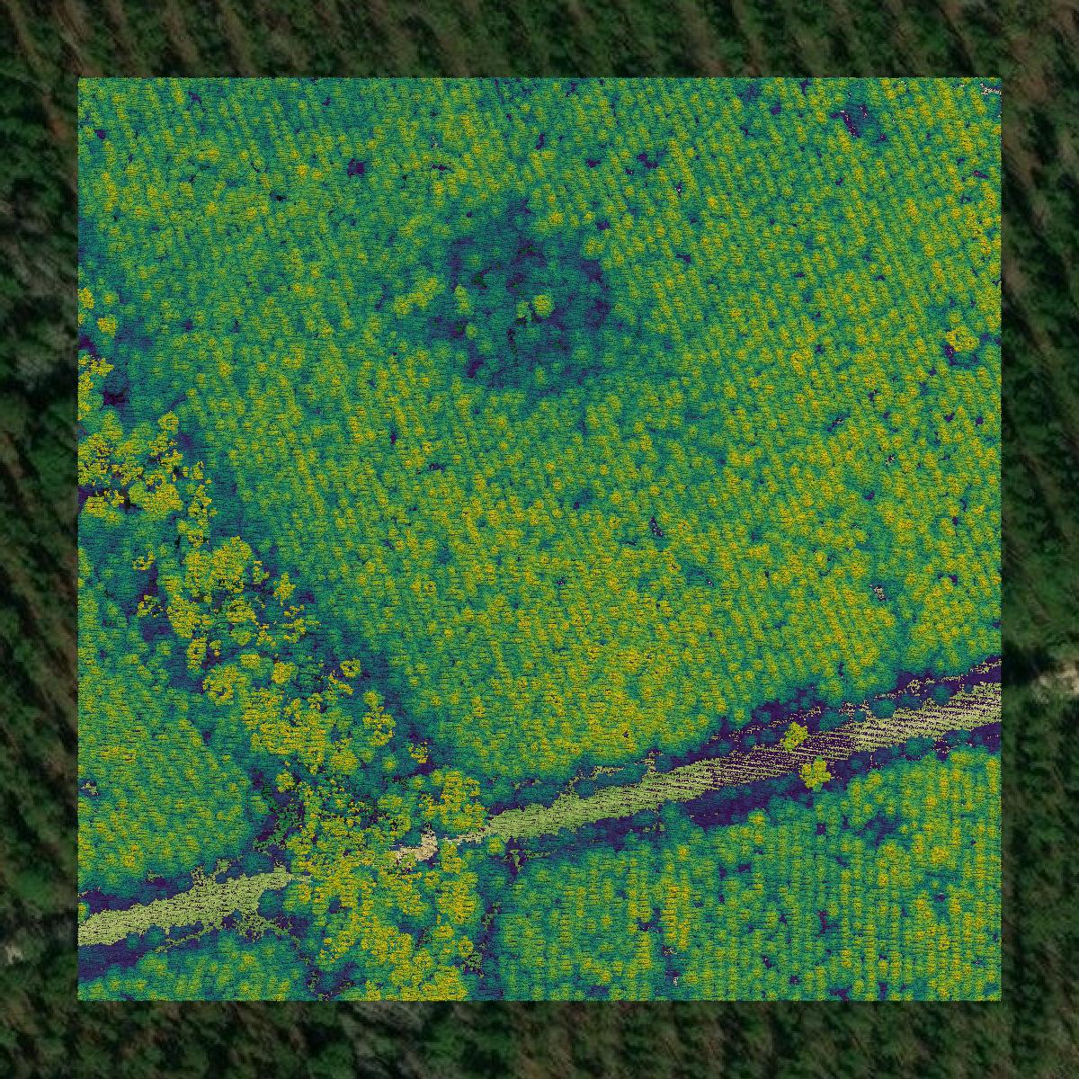 This image shows a LiDAR point cloud in Nassau County created using GIS data in Equator.