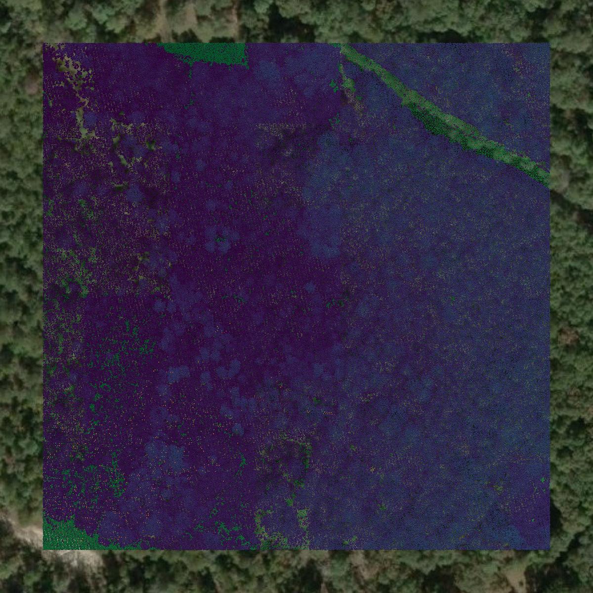 This image shows a LiDAR point cloud in Okaloosa County created using GIS data in Equator.