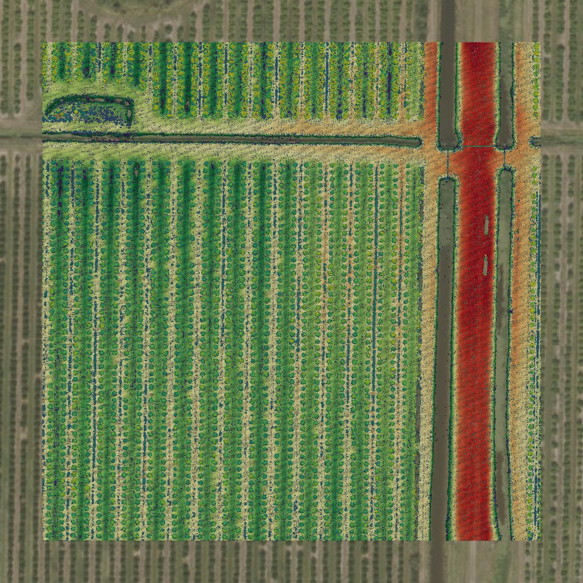 This image shows a LiDAR point cloud in Okeechobee County created using GIS data in Equator.