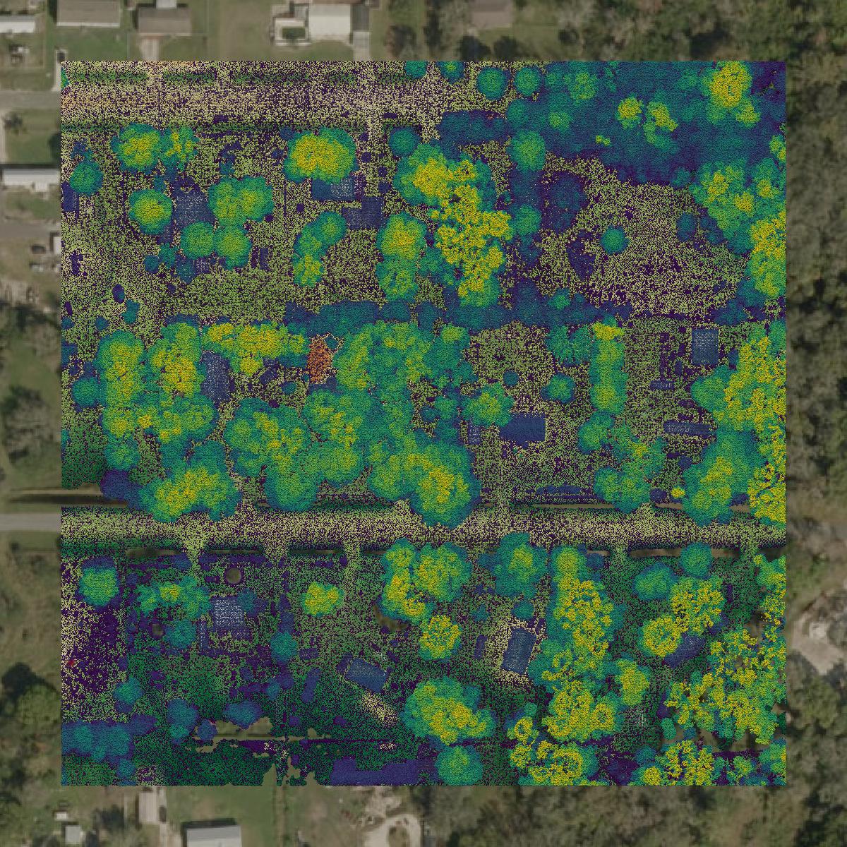 This image shows a LiDAR point cloud in Okeechobee County created using GIS data in Equator.