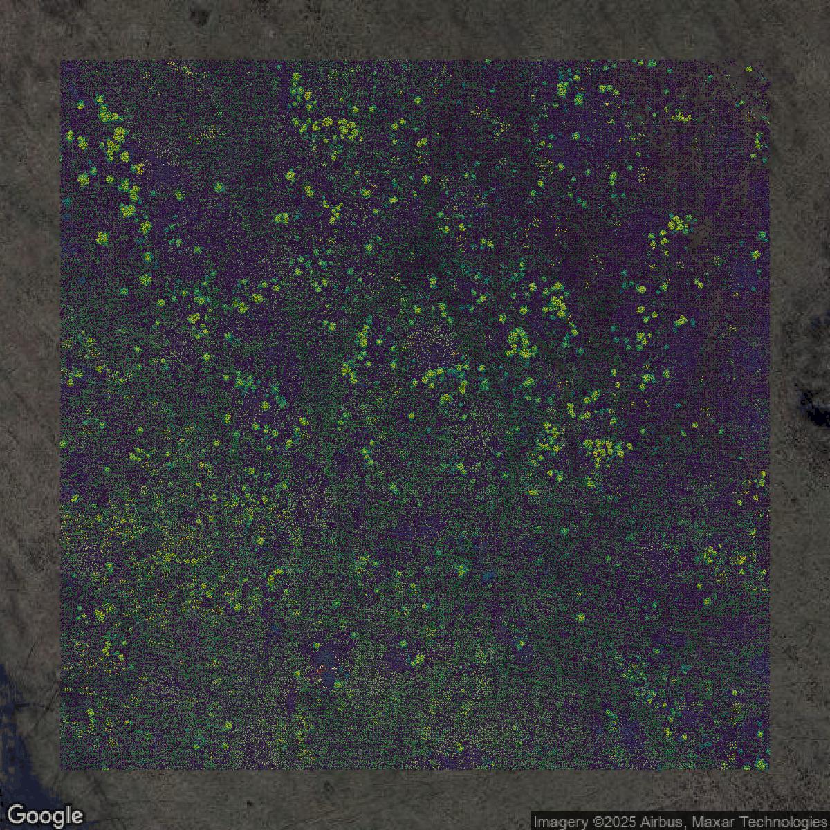 This image shows a LiDAR point cloud in Orange County created using GIS data in Equator.