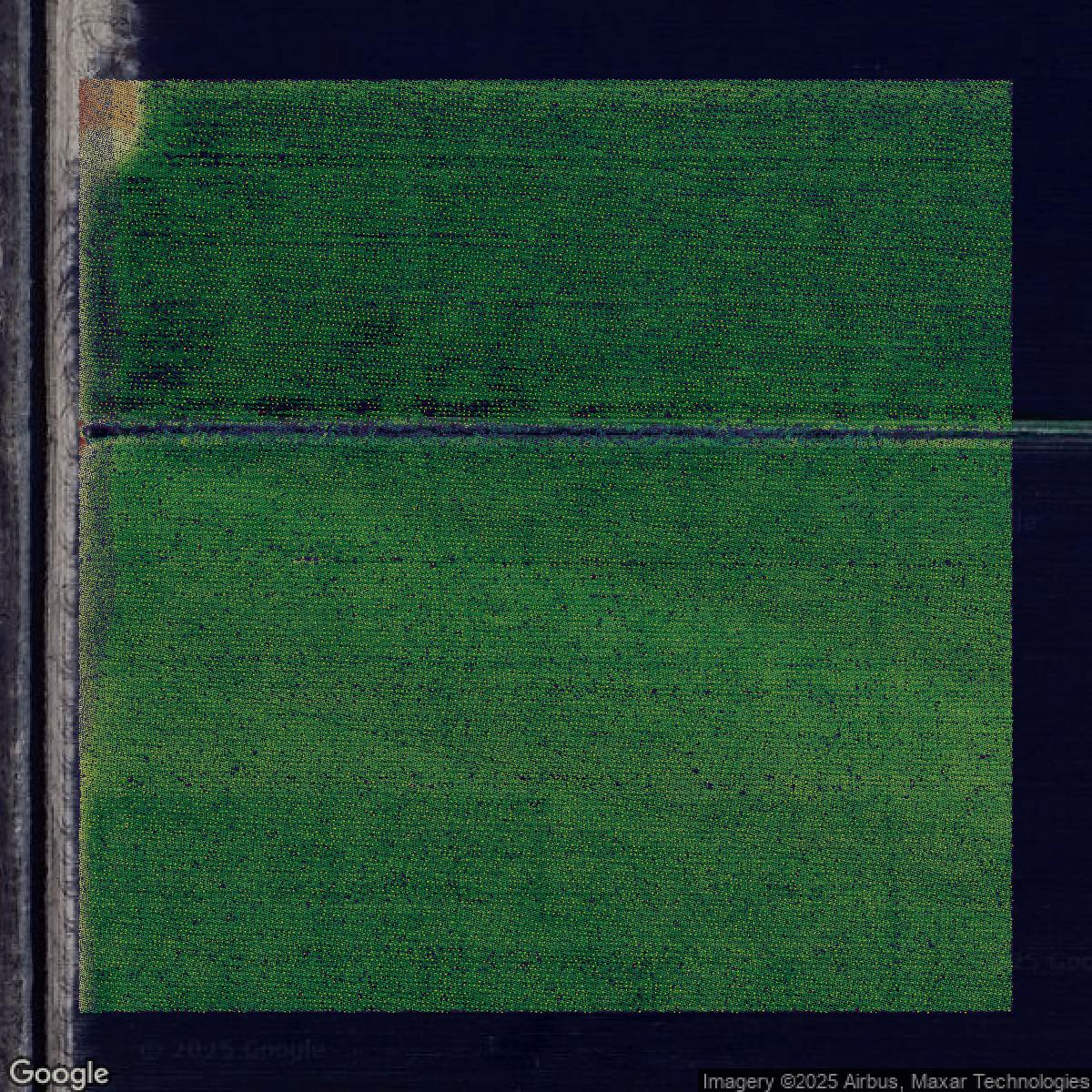 This image shows a LiDAR point cloud in Palm Beach County created using GIS data in Equator.