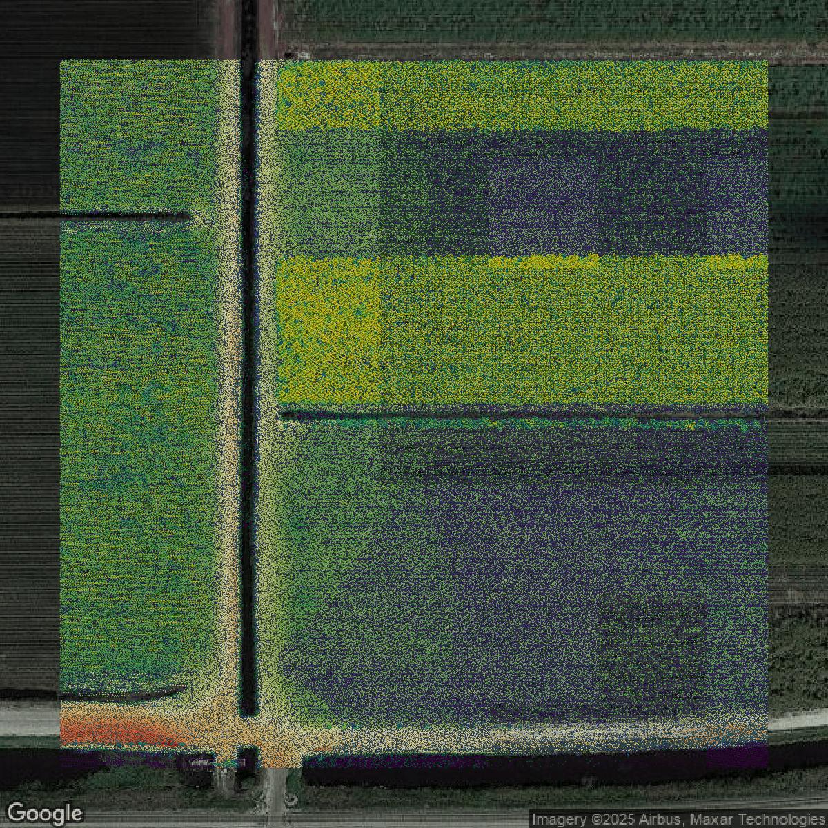 This image shows a LiDAR point cloud in Palm Beach County created using GIS data in Equator.