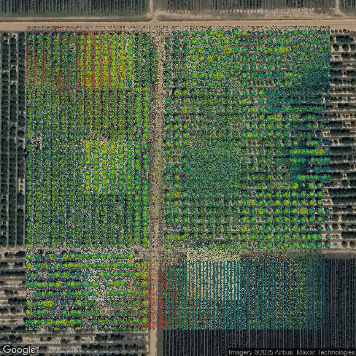 This image shows a LiDAR point cloud in Polk County created using GIS data in Equator.