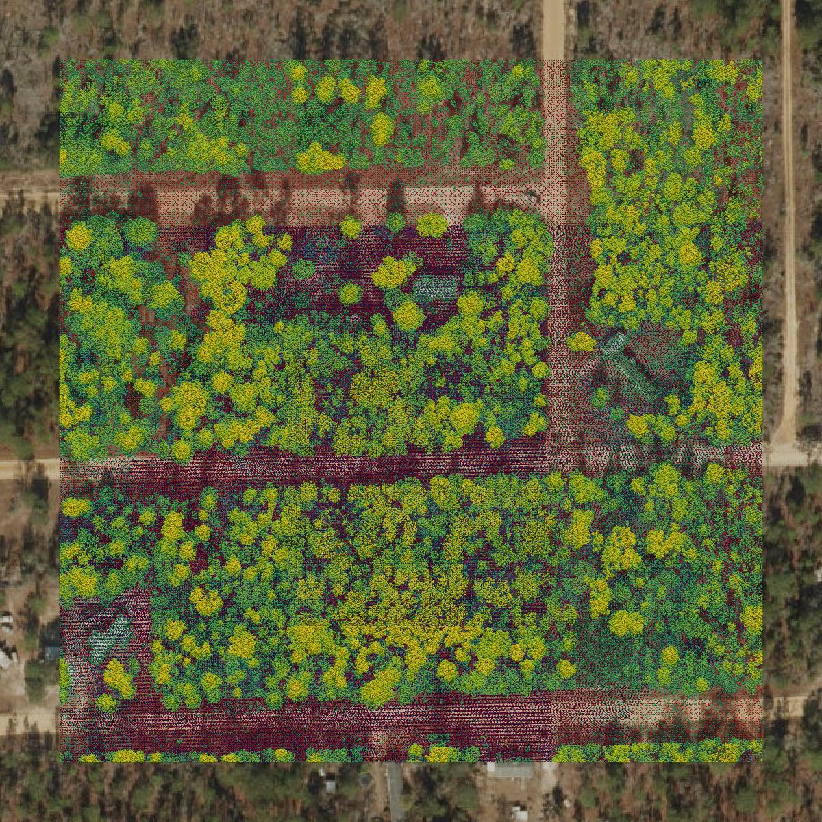 This image shows a LiDAR point cloud in Putnam County created using GIS data in Equator.