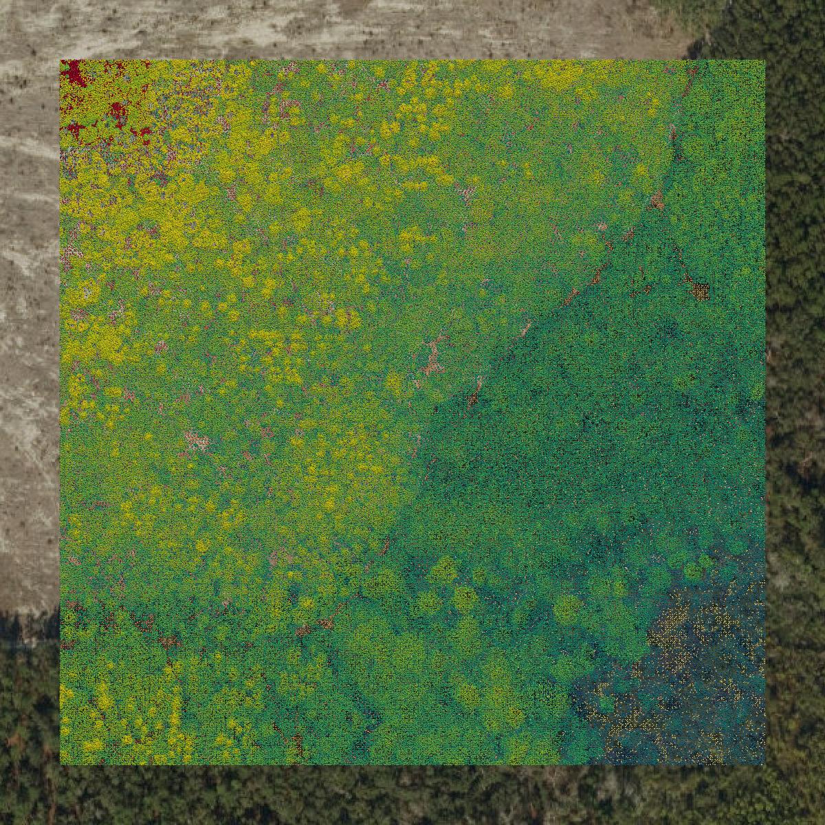 This image shows a LiDAR point cloud in Putnam County created using GIS data in Equator.