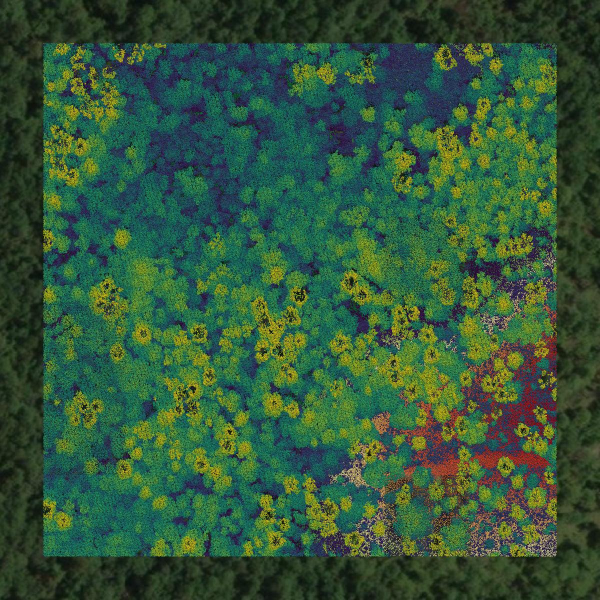 This image shows a LiDAR point cloud in Santa Rosa County created using GIS data in Equator.