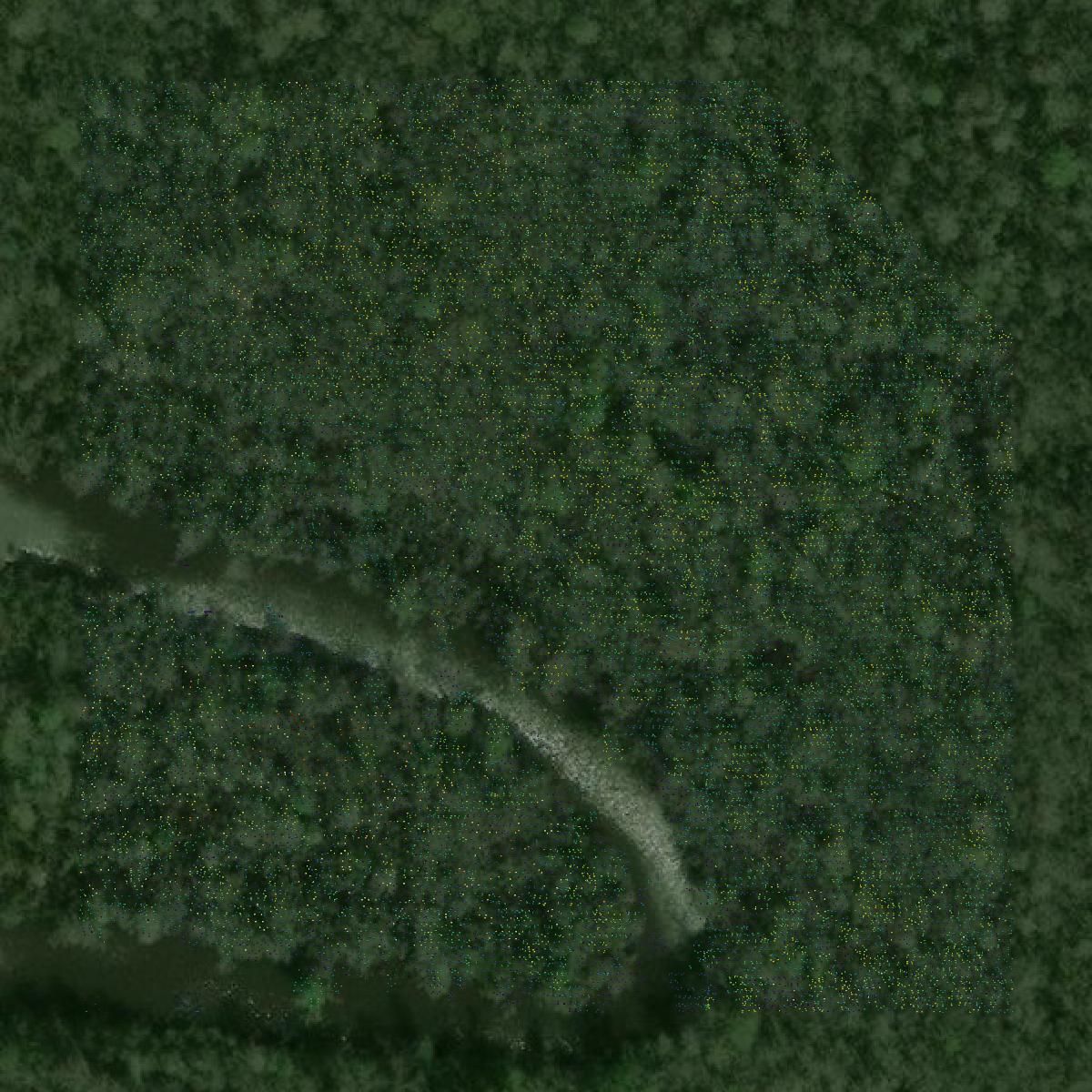 This image shows a LiDAR point cloud in Santa Rosa County created using GIS data in Equator.