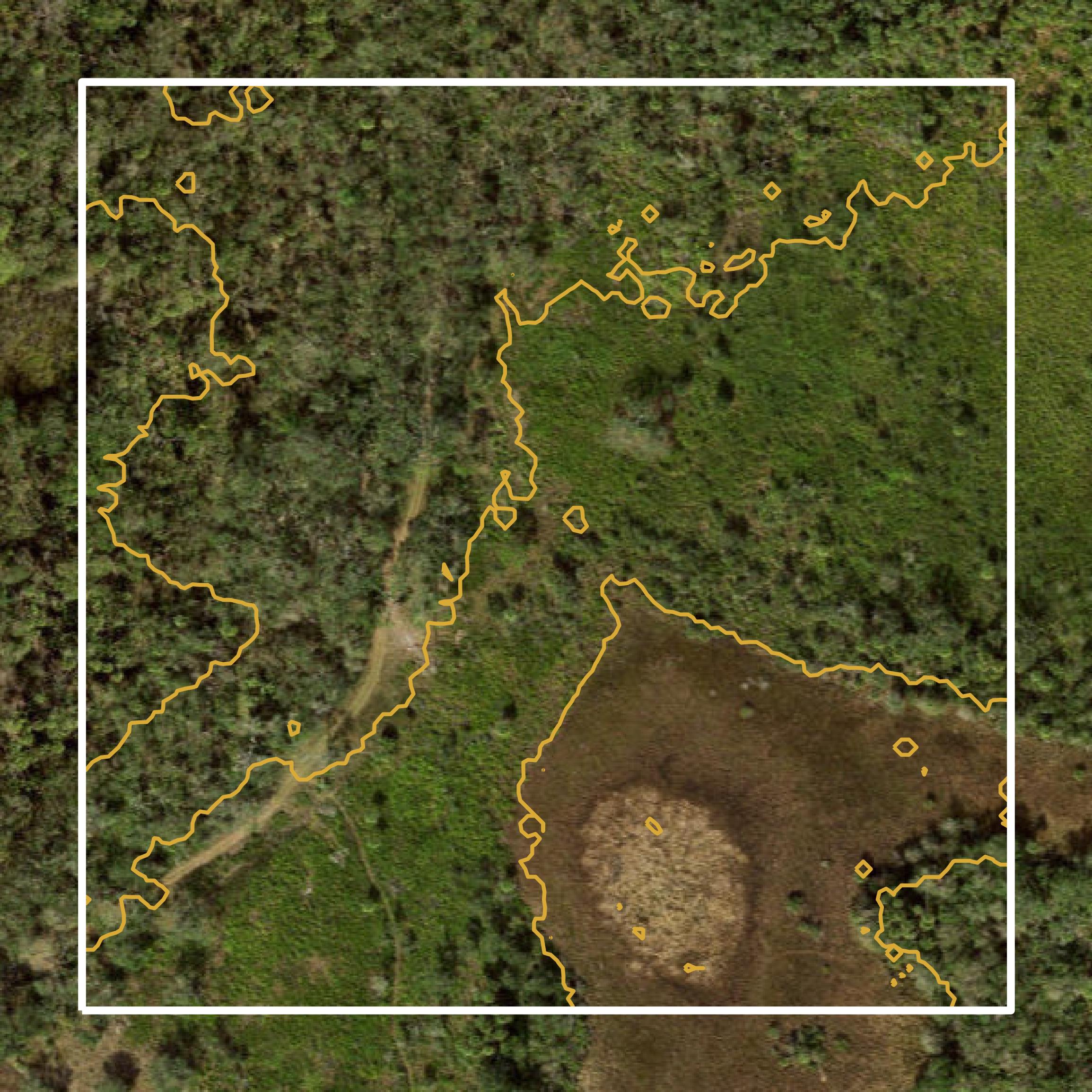This image shows a contour map in Sarasota County created using GIS data in Equator.