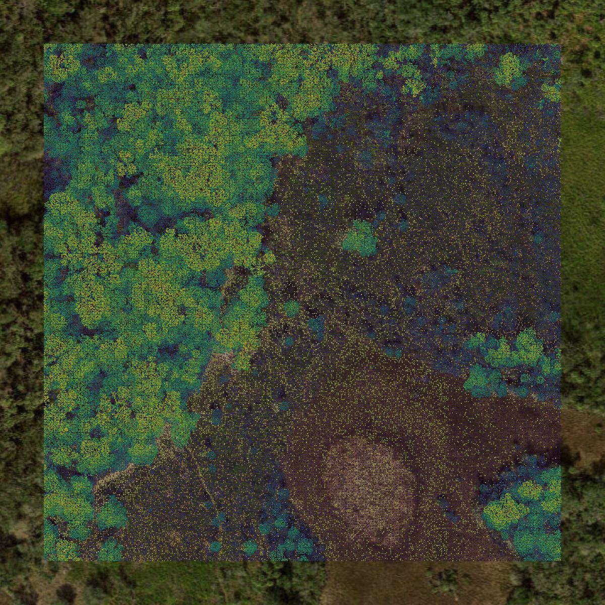 This image shows a LiDAR point cloud in Sarasota County created using GIS data in Equator.