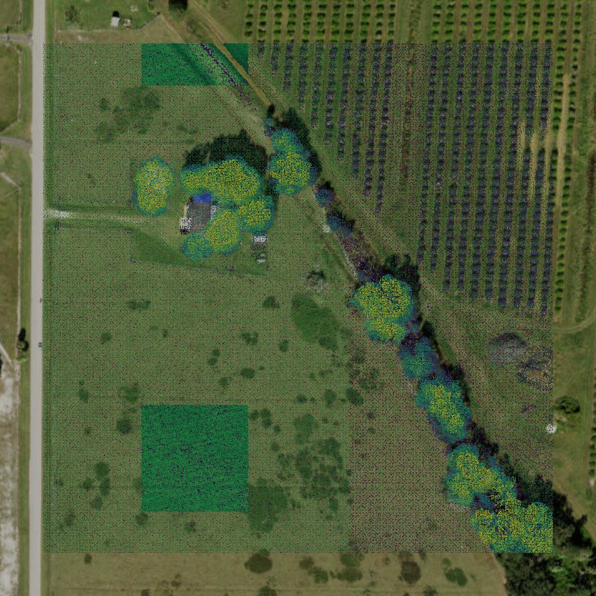 This image shows a LiDAR point cloud in Sarasota County created using GIS data in Equator.