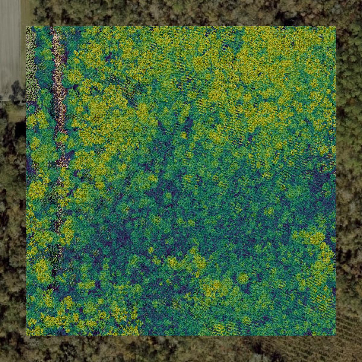 This image shows a LiDAR point cloud in St. Johns County created using GIS data in Equator.