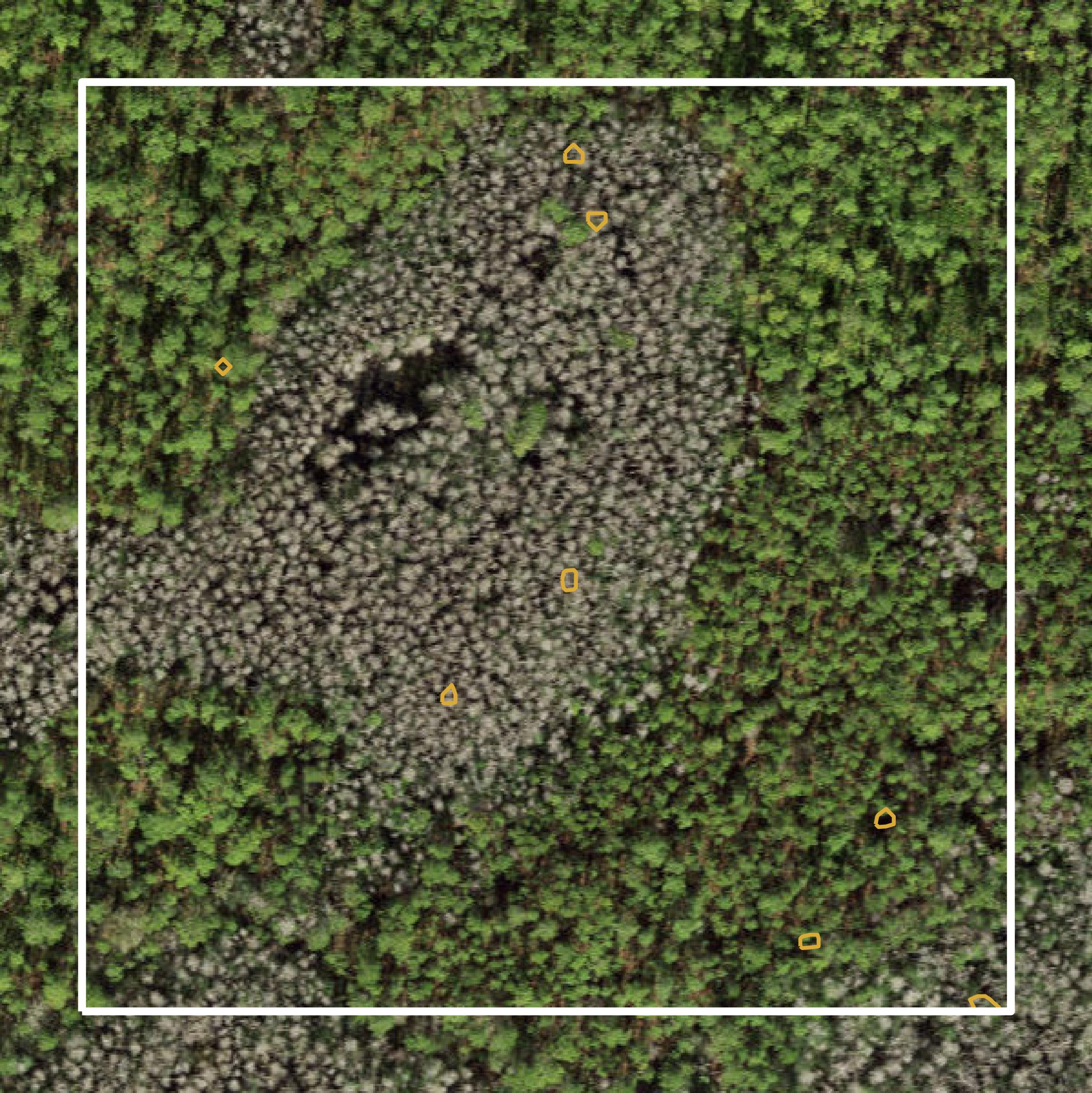 This image shows a contour map in Sumter County created using GIS data in Equator.