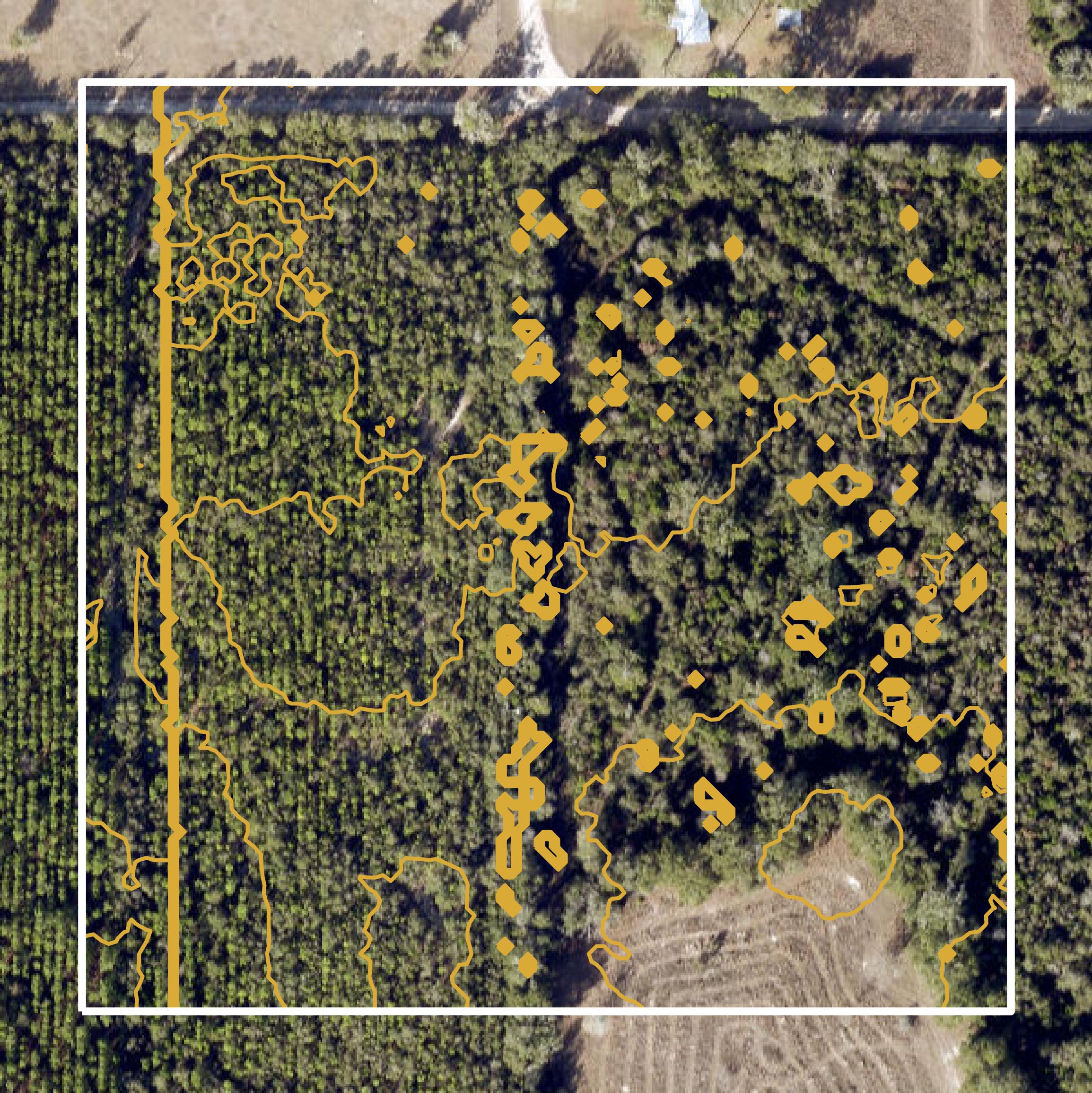 This image shows a contour map in Suwannee County created using GIS data in Equator.