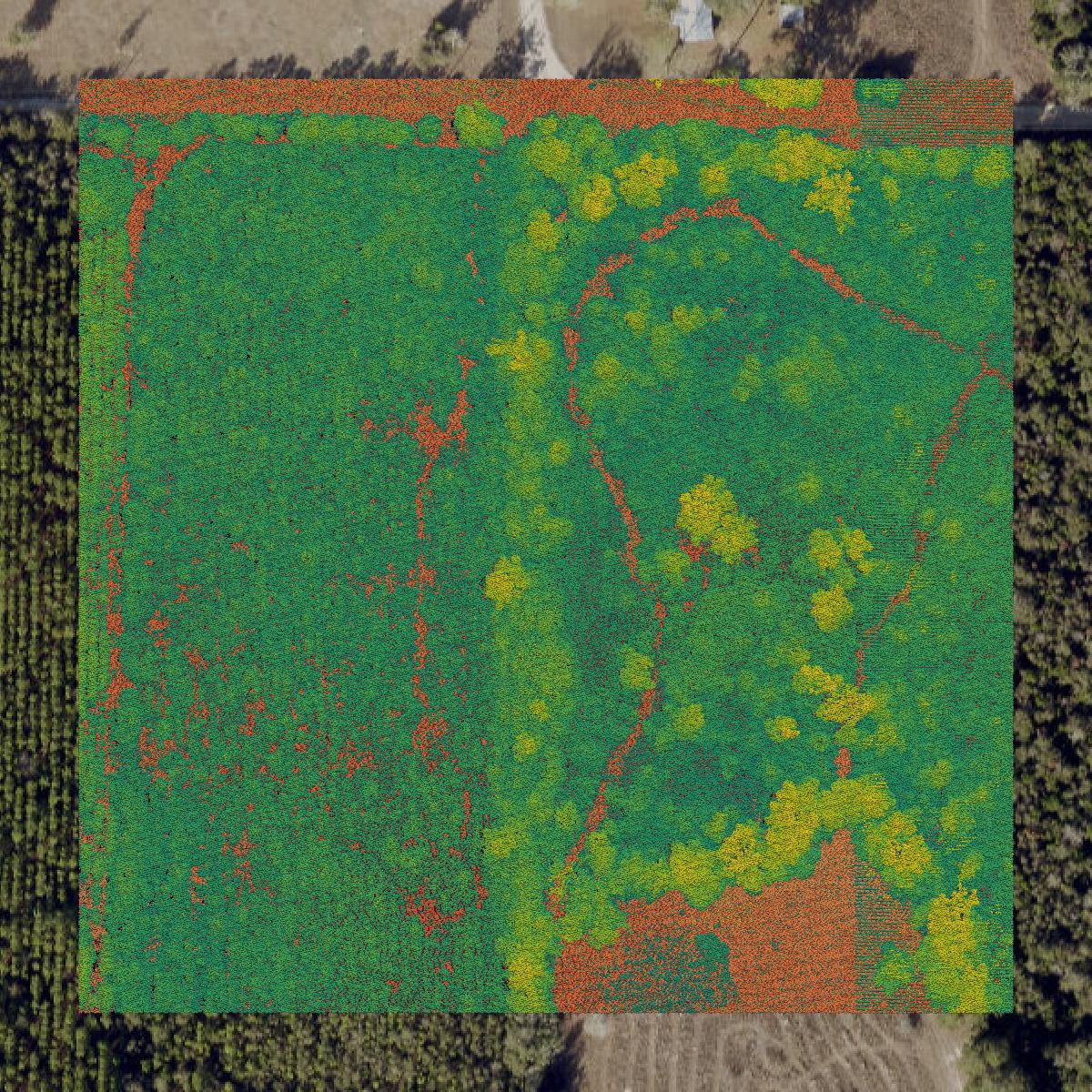 This image shows a LiDAR point cloud in Suwannee County created using GIS data in Equator.