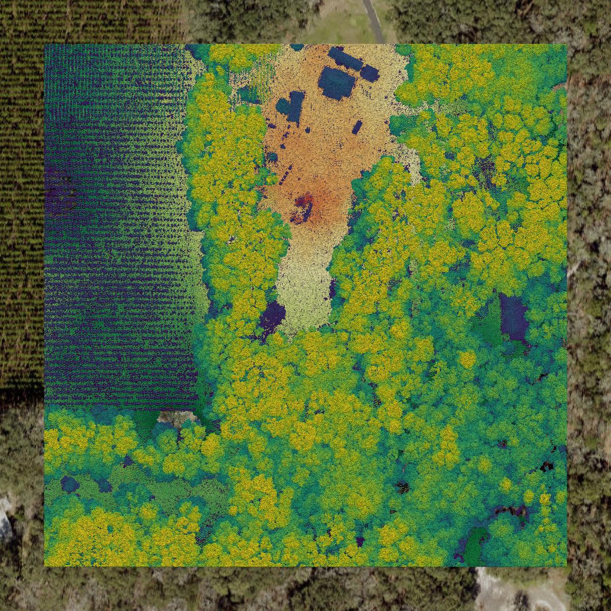 This image shows a LiDAR point cloud in Suwannee County created using GIS data in Equator.